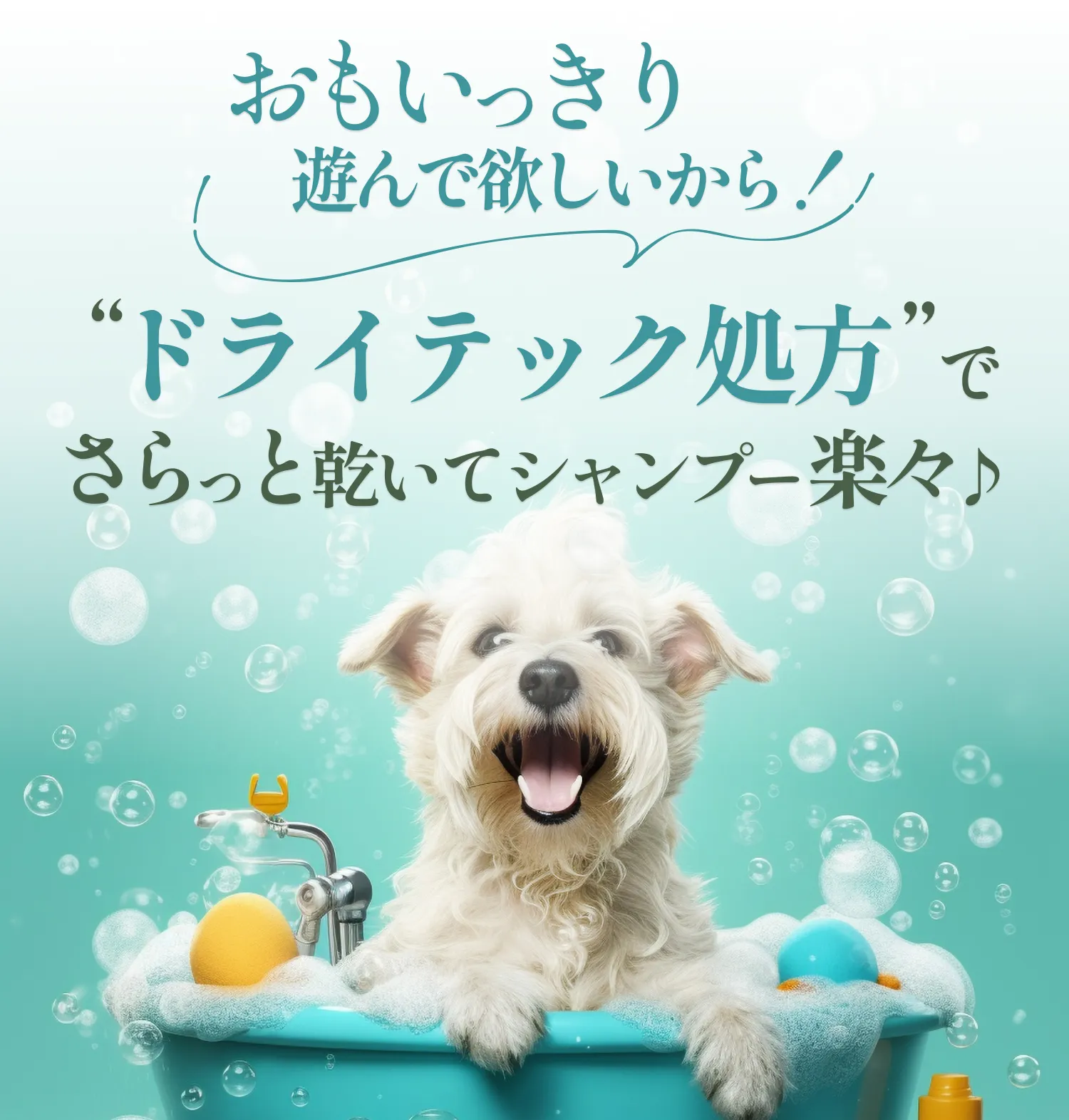 おもいっきり遊んで欲しいからドライテック処方でサラッと乾いてシャンプー楽々♪