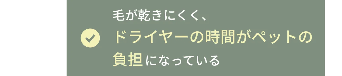ペットにやさしい低刺激・オーガニック成分配合シャンプーを探している