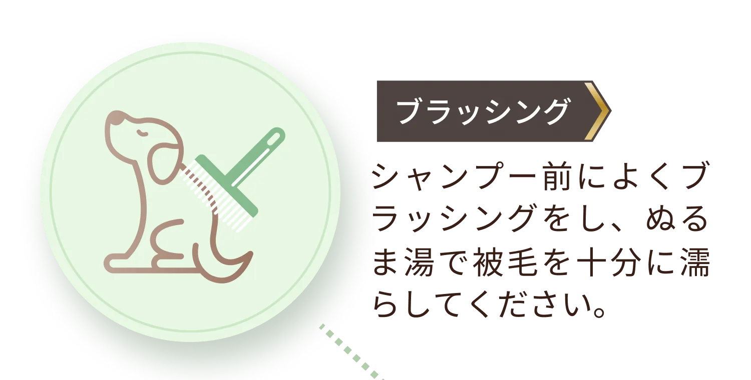 シャンプー前によくブラッシングをし、ぬるま湯で被毛を十分に濡らしてください。