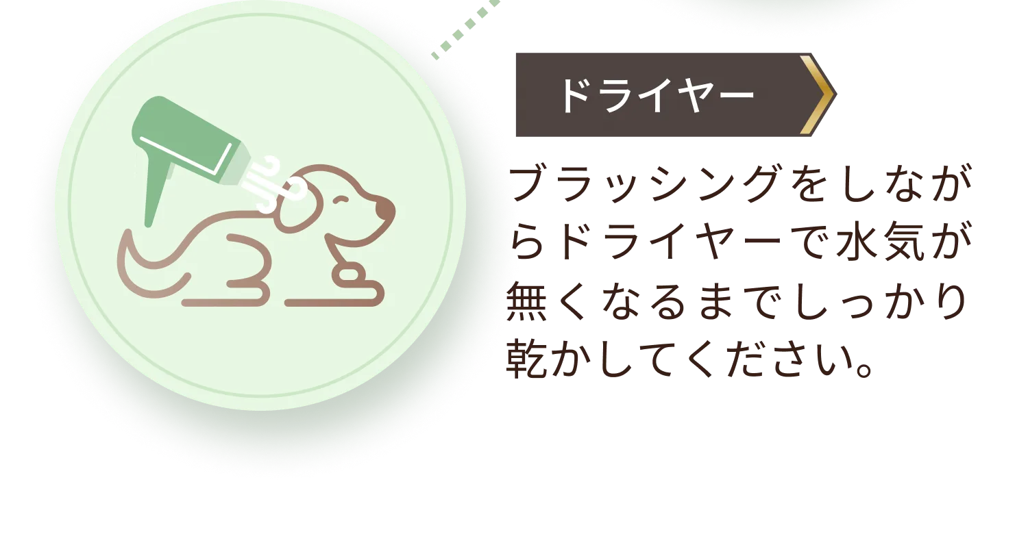 ブラッシングをしながらドライヤーで水気が無くなるまでしっかり乾かしてください。