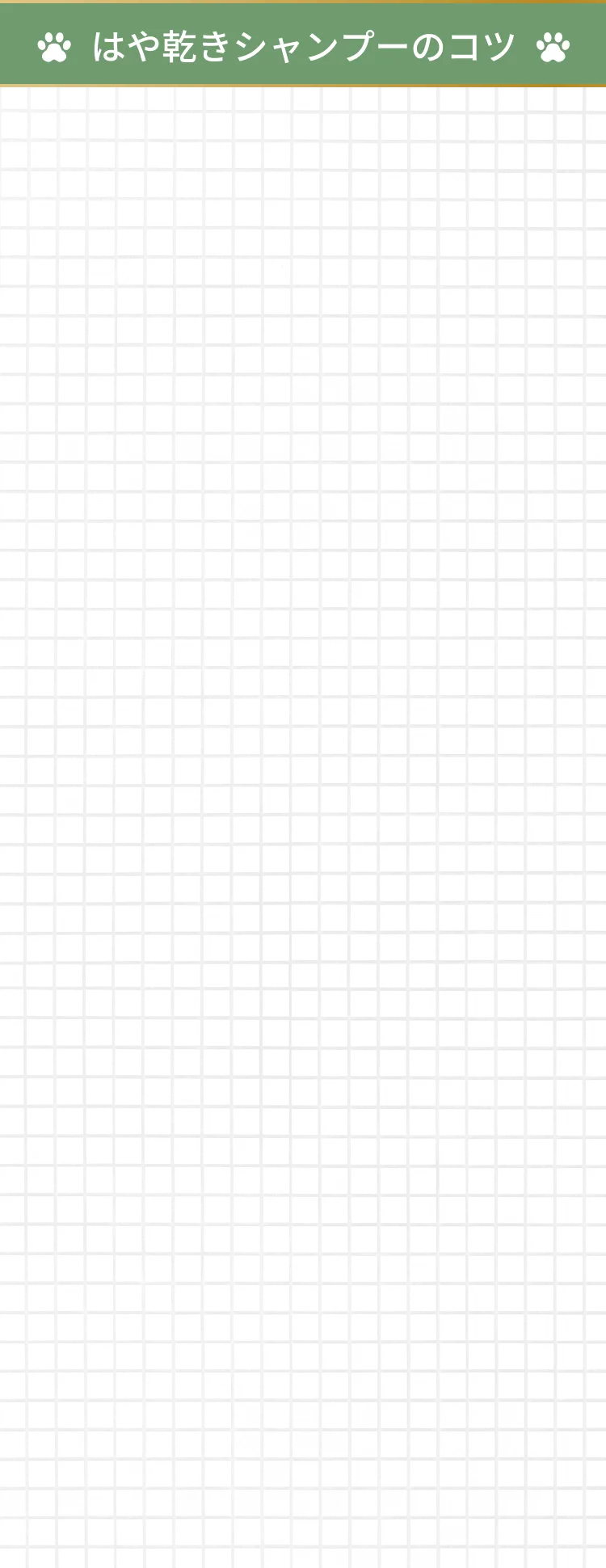 はや乾きシャンプーのコツ