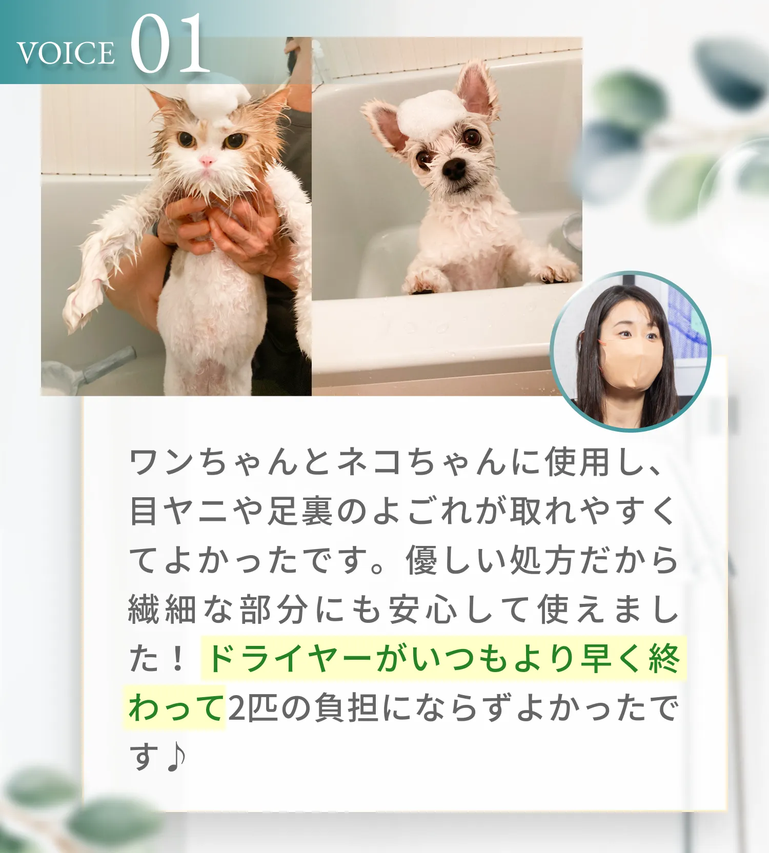 ワンちゃんとネコちゃんに使用し、目ヤニや足裏のよごれが取れやすくてよかったです。優しい処方だから繊細な部分にも安心して使えました! ドライヤーがいつもより早く終わって2匹の負担にならずよかったです♪