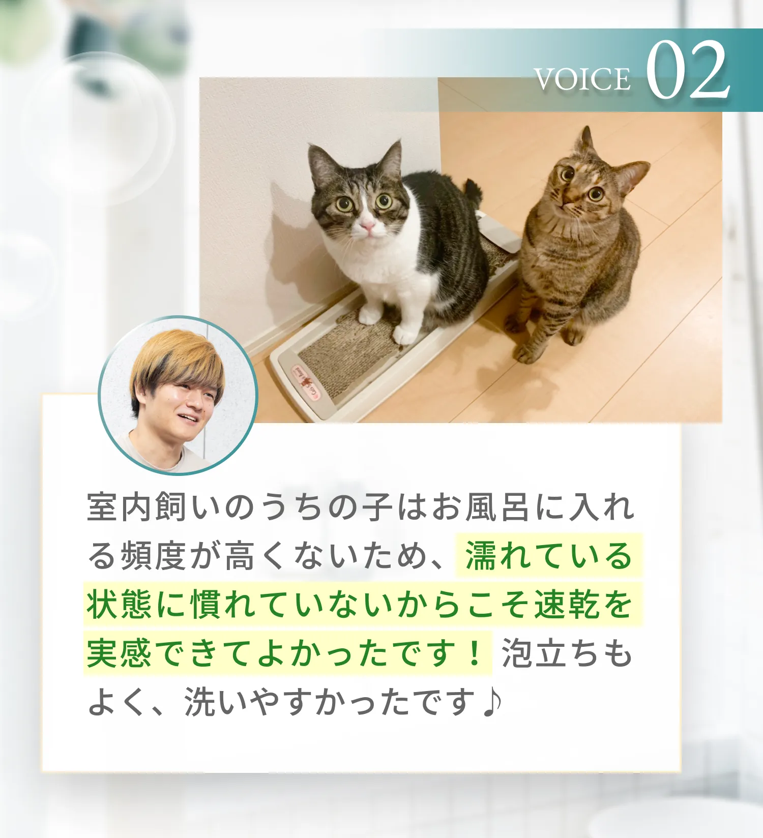 室内飼いのうちの子はお風呂に入れる頻度が高くないため、濡れている状態に慣れていないからこそ速乾を実感できてよかったです! 泡立ちもよく、洗いやすかったです♪