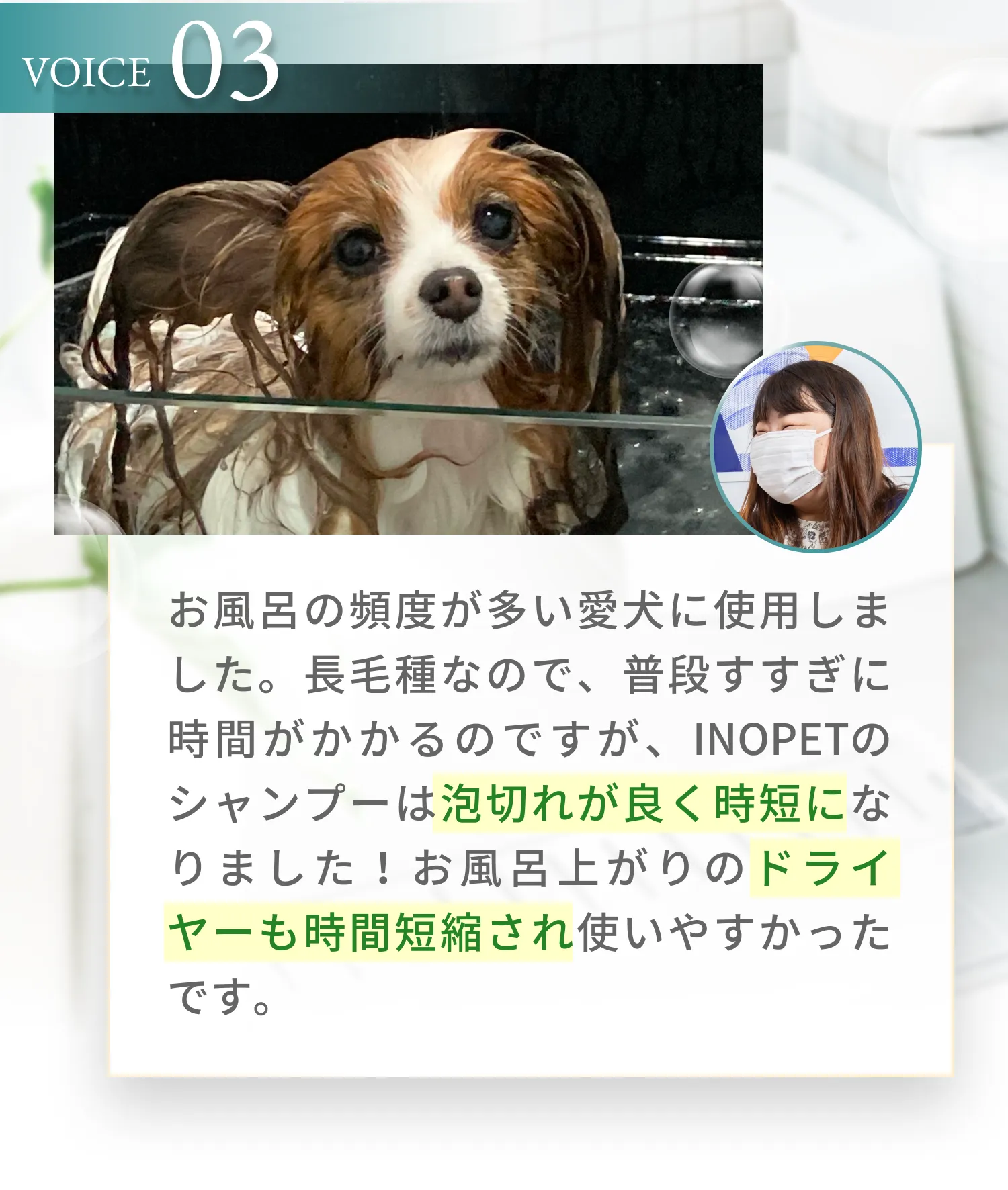 お風呂の頻度が多い愛犬に使用しました。長毛種なので、普段すすぎに時間がかかるのですが、INOPETのシャンプーは泡切れが良く時短になりました!お風呂上がりのドライヤーも時間短縮され使いやすかったです。