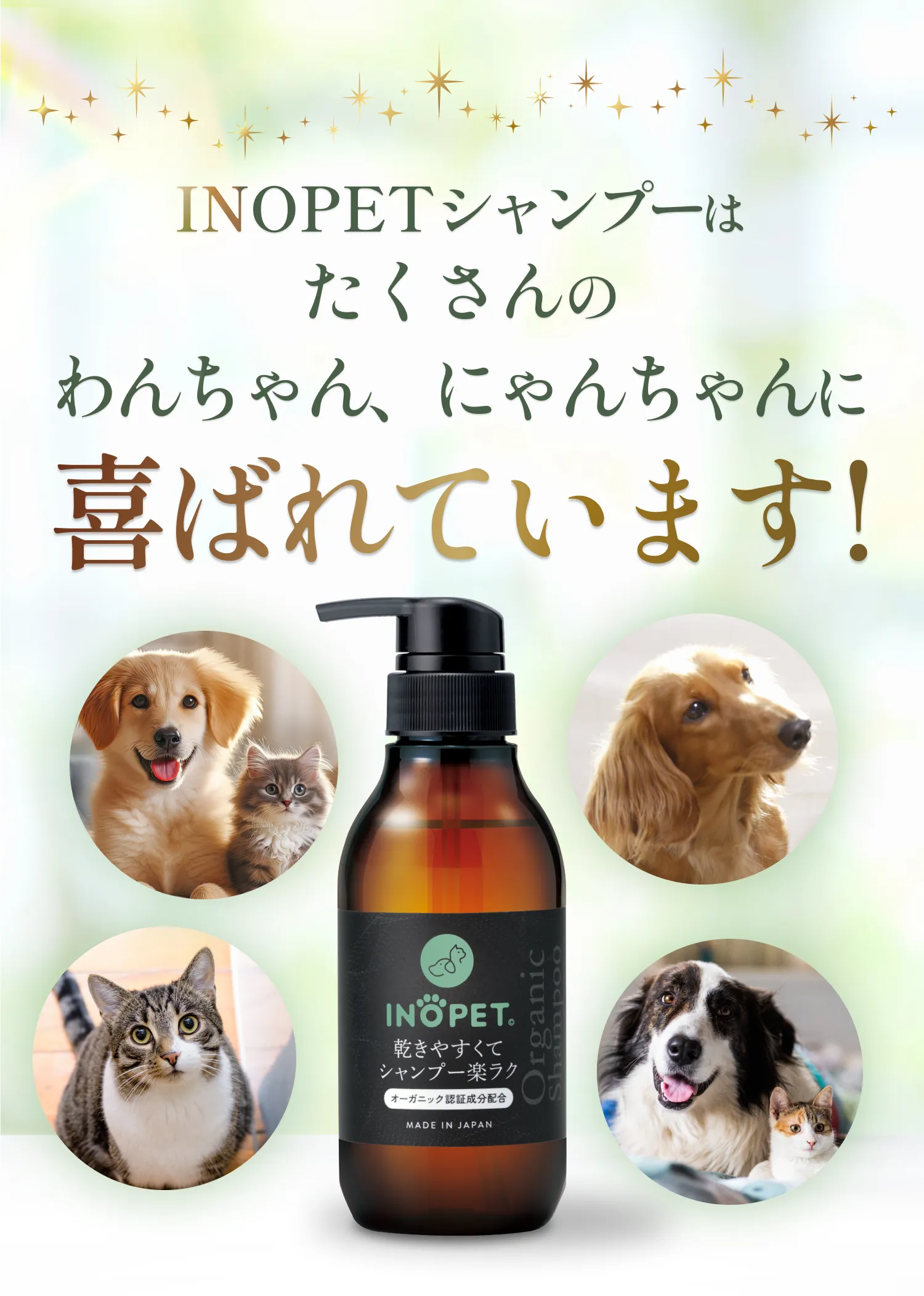 犬 販売済み シャンプー 月齢